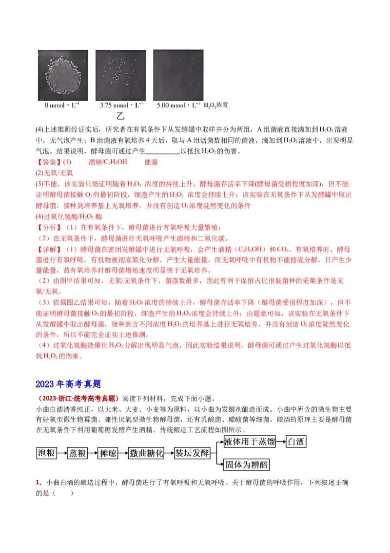 五年（2021-2025）全国高考生物真题分类汇编专题20发酵工程（全国通用）（解析版）_高考真题分类汇编_高考生物真题分类汇编（全国通用）五年（2021-2025）