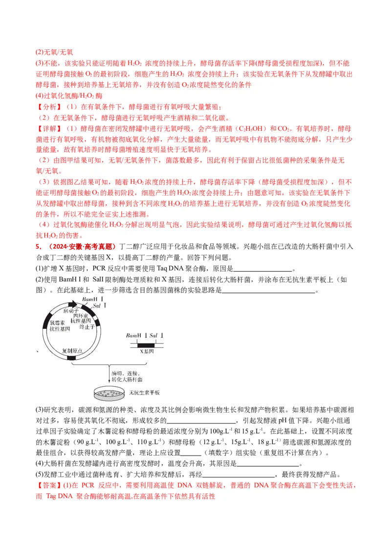 五年（2021-2025）全国高考生物真题分类汇编专题20发酵工程（全国通用）（解析版）_高考真题分类汇编_高考生物真题分类汇编（全国通用）五年（2021-2025）