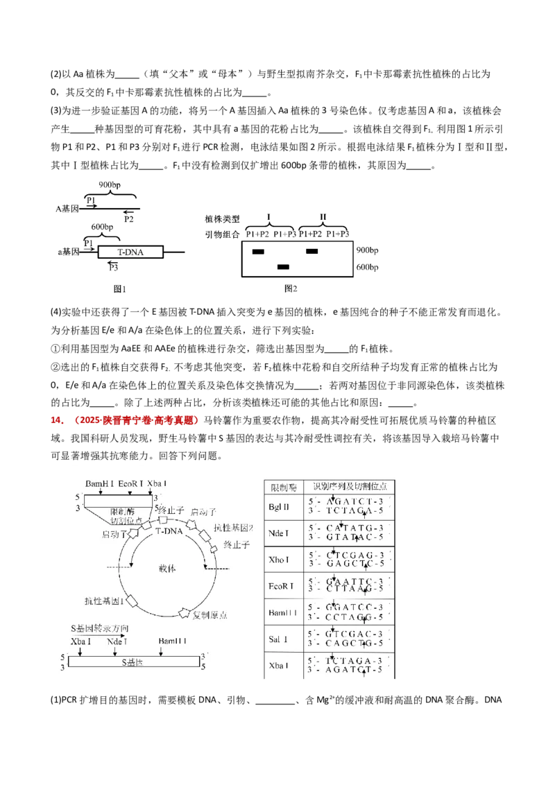 五年（2021-2025）全国高考生物真题分类汇编专题22基因工程（全国通用）（原卷版）_高考真题分类汇编_高考生物真题分类汇编（全国通用）五年（2021-2025）
