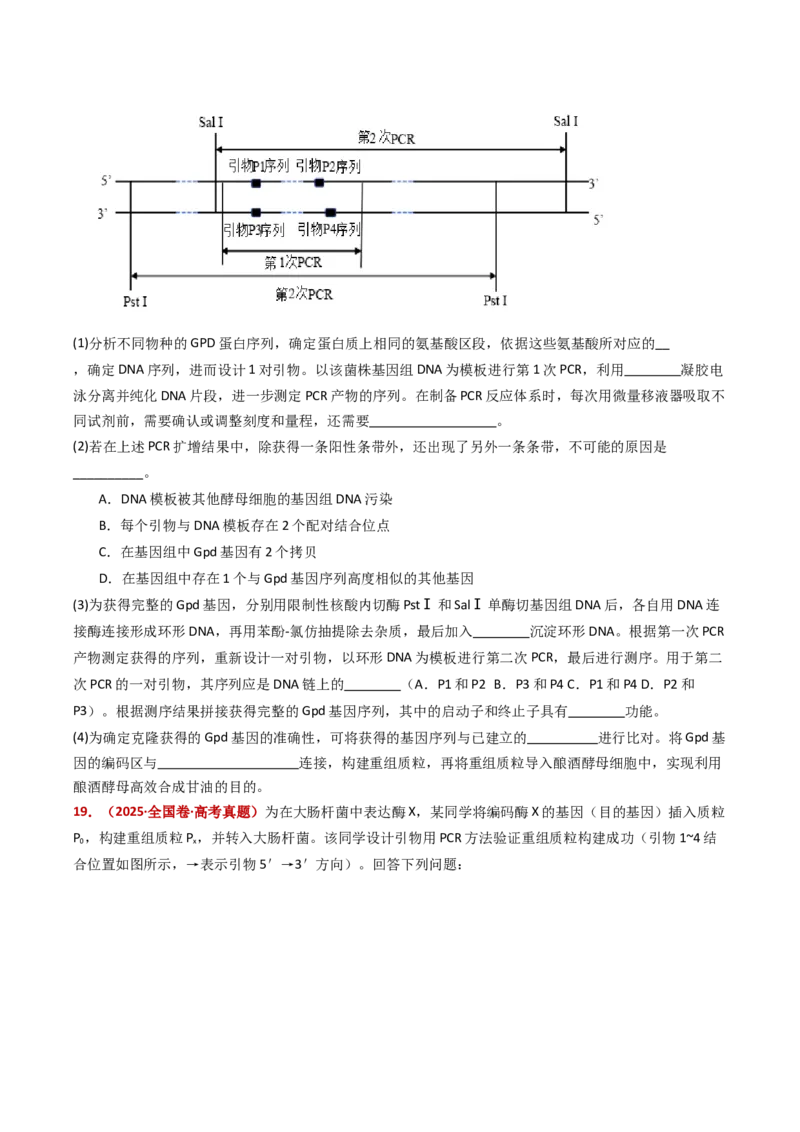 五年（2021-2025）全国高考生物真题分类汇编专题22基因工程（全国通用）（原卷版）_高考真题分类汇编_高考生物真题分类汇编（全国通用）五年（2021-2025）