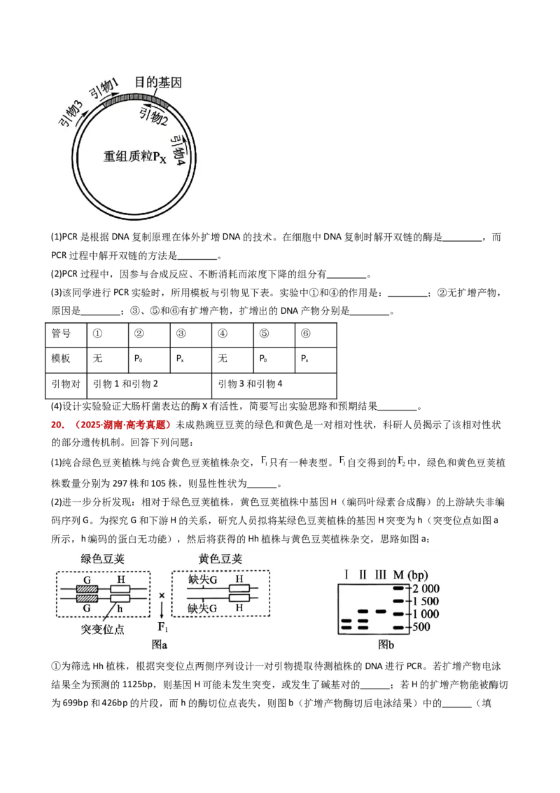 五年（2021-2025）全国高考生物真题分类汇编专题22基因工程（全国通用）（原卷版）_高考真题分类汇编_高考生物真题分类汇编（全国通用）五年（2021-2025）