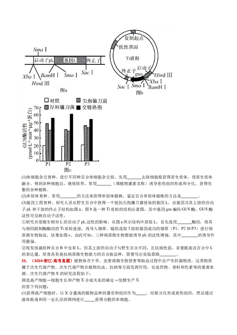 五年（2021-2025）全国高考生物真题分类汇编专题22基因工程（全国通用）（原卷版）_高考真题分类汇编_高考生物真题分类汇编（全国通用）五年（2021-2025）