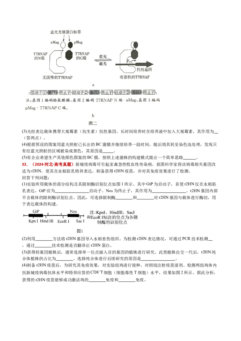 五年（2021-2025）全国高考生物真题分类汇编专题22基因工程（全国通用）（原卷版）_高考真题分类汇编_高考生物真题分类汇编（全国通用）五年（2021-2025）