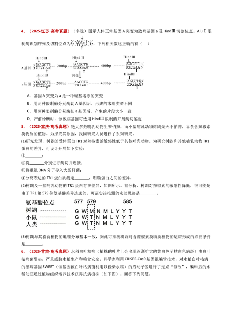 五年（2021-2025）全国高考生物真题分类汇编专题22基因工程（全国通用）（原卷版）_高考真题分类汇编_高考生物真题分类汇编（全国通用）五年（2021-2025）