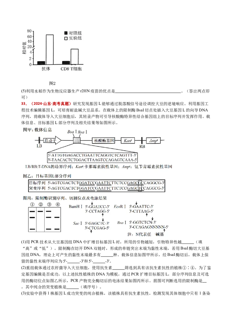 五年（2021-2025）全国高考生物真题分类汇编专题22基因工程（全国通用）（原卷版）_高考真题分类汇编_高考生物真题分类汇编（全国通用）五年（2021-2025）