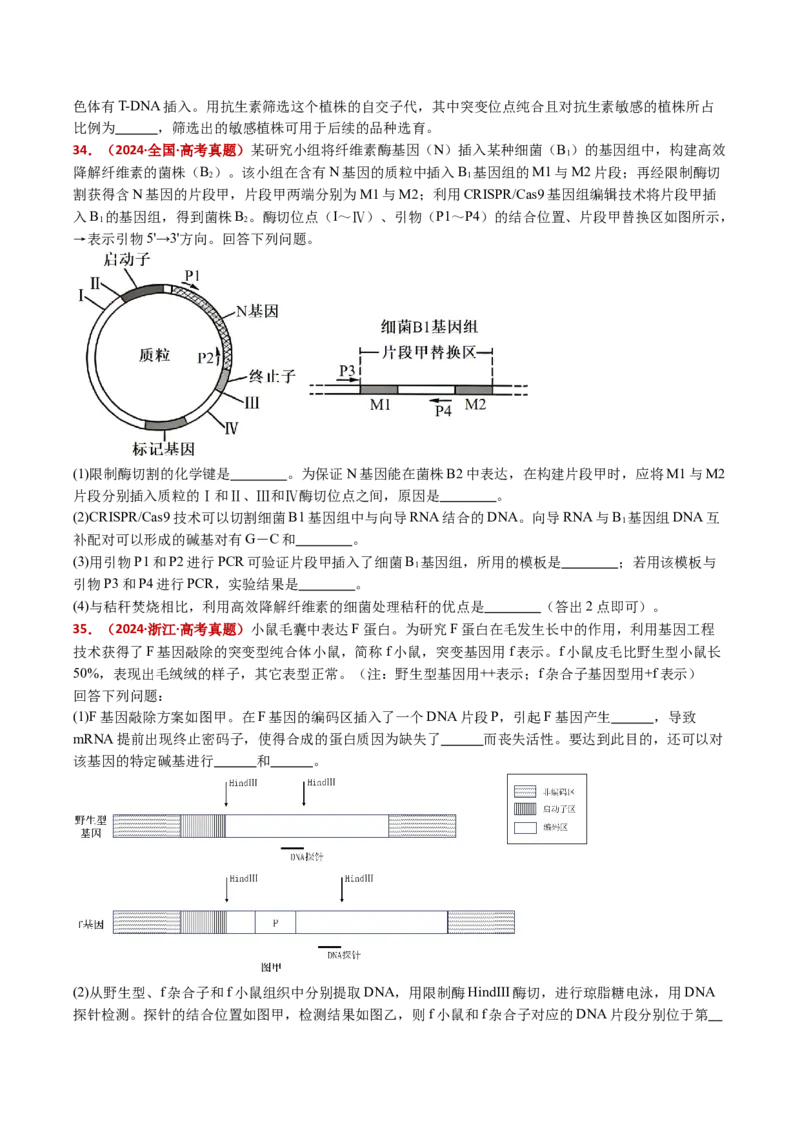 五年（2021-2025）全国高考生物真题分类汇编专题22基因工程（全国通用）（原卷版）_高考真题分类汇编_高考生物真题分类汇编（全国通用）五年（2021-2025）