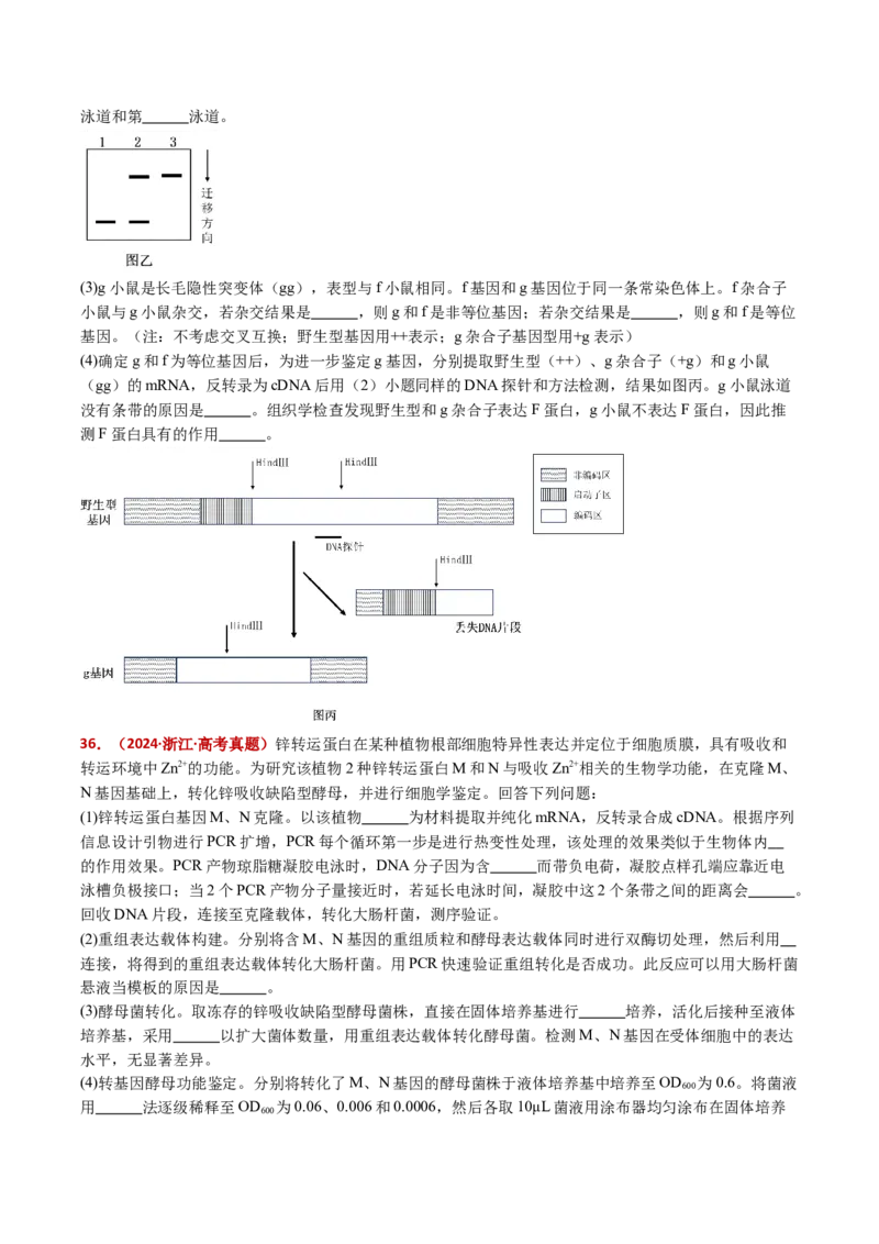 五年（2021-2025）全国高考生物真题分类汇编专题22基因工程（全国通用）（原卷版）_高考真题分类汇编_高考生物真题分类汇编（全国通用）五年（2021-2025）