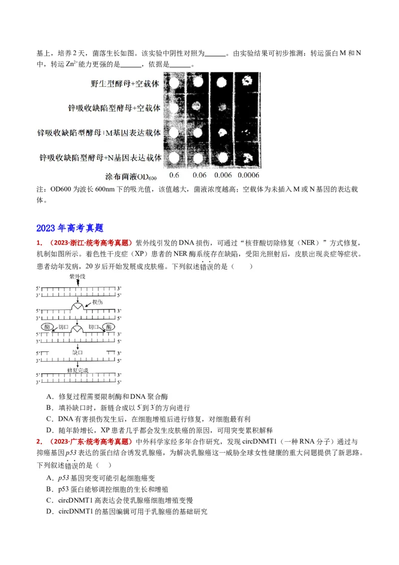 五年（2021-2025）全国高考生物真题分类汇编专题22基因工程（全国通用）（原卷版）_高考真题分类汇编_高考生物真题分类汇编（全国通用）五年（2021-2025）