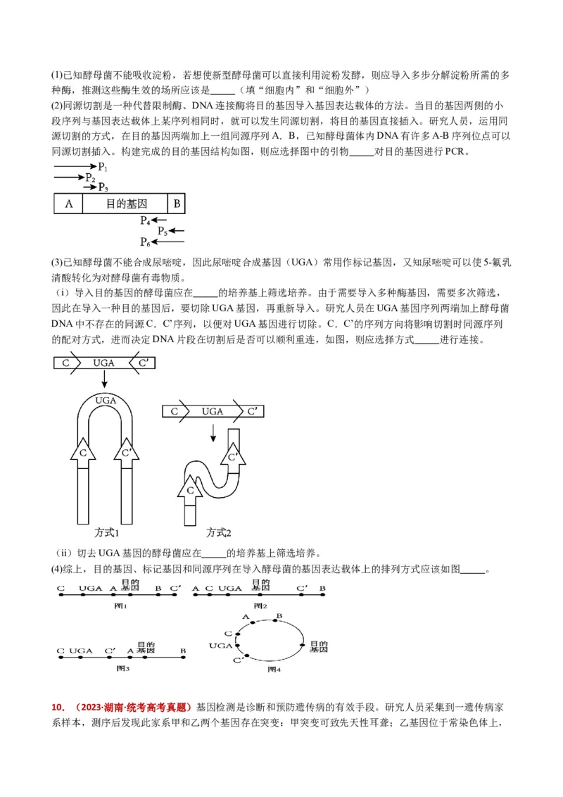 五年（2021-2025）全国高考生物真题分类汇编专题22基因工程（全国通用）（原卷版）_高考真题分类汇编_高考生物真题分类汇编（全国通用）五年（2021-2025）