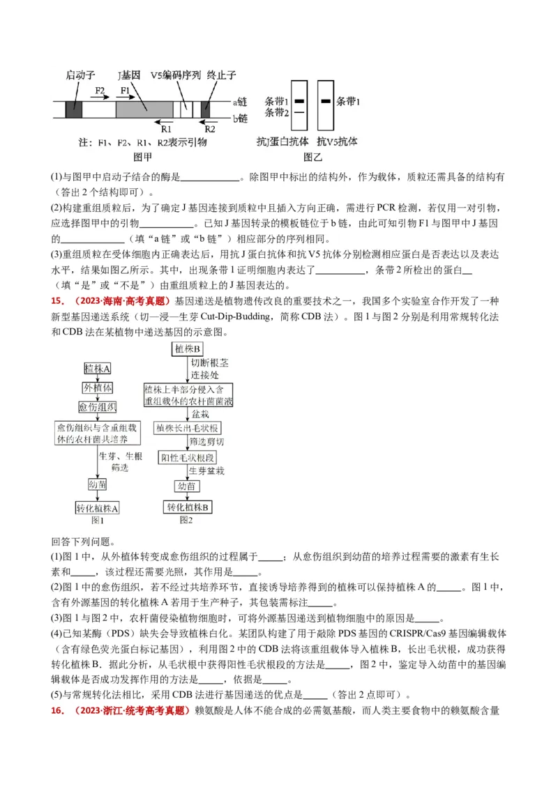 五年（2021-2025）全国高考生物真题分类汇编专题22基因工程（全国通用）（原卷版）_高考真题分类汇编_高考生物真题分类汇编（全国通用）五年（2021-2025）