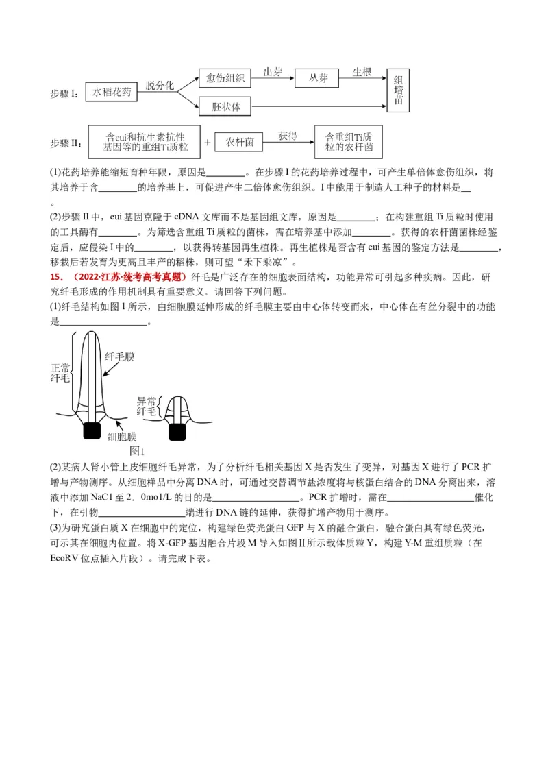 五年（2021-2025）全国高考生物真题分类汇编专题22基因工程（全国通用）（原卷版）_高考真题分类汇编_高考生物真题分类汇编（全国通用）五年（2021-2025）
