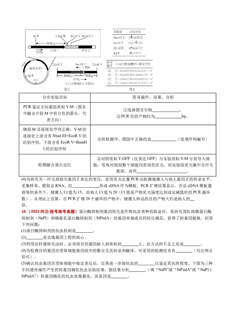 五年（2021-2025）全国高考生物真题分类汇编专题22基因工程（全国通用）（原卷版）_高考真题分类汇编_高考生物真题分类汇编（全国通用）五年（2021-2025）