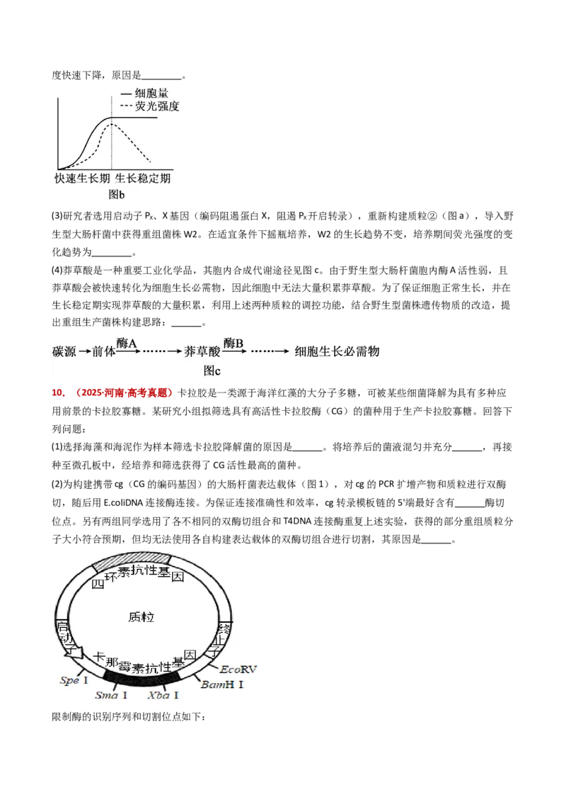 五年（2021-2025）全国高考生物真题分类汇编专题22基因工程（全国通用）（原卷版）_高考真题分类汇编_高考生物真题分类汇编（全国通用）五年（2021-2025）