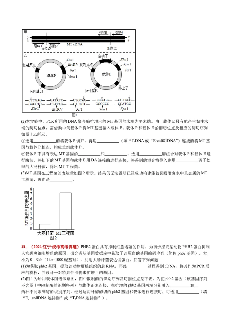 五年（2021-2025）全国高考生物真题分类汇编专题22基因工程（全国通用）（原卷版）_高考真题分类汇编_高考生物真题分类汇编（全国通用）五年（2021-2025）
