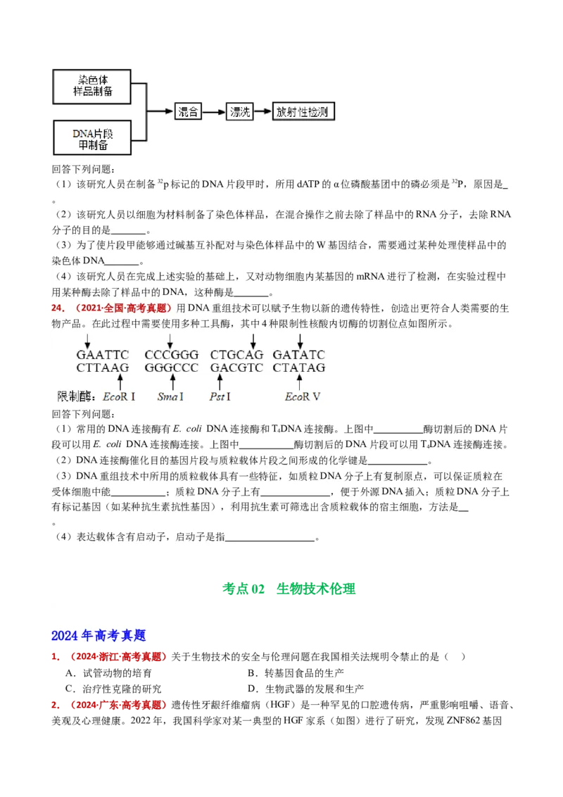 五年（2021-2025）全国高考生物真题分类汇编专题22基因工程（全国通用）（原卷版）_高考真题分类汇编_高考生物真题分类汇编（全国通用）五年（2021-2025）
