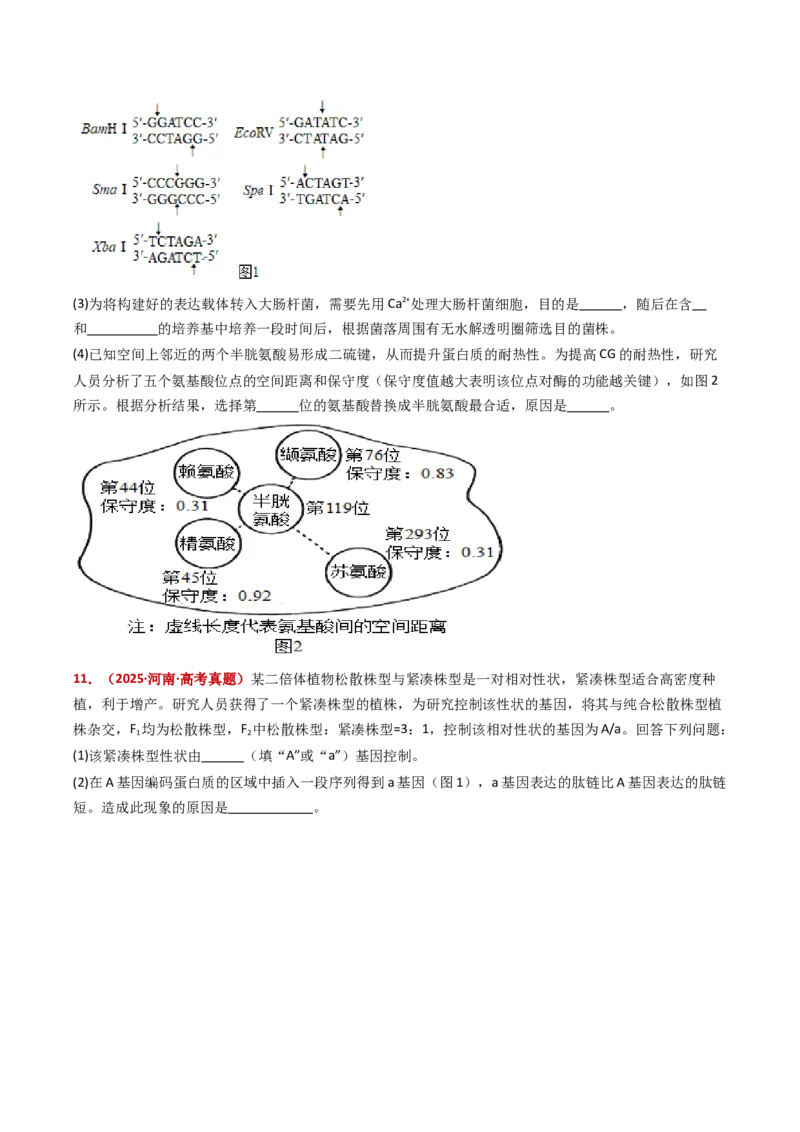 五年（2021-2025）全国高考生物真题分类汇编专题22基因工程（全国通用）（原卷版）_高考真题分类汇编_高考生物真题分类汇编（全国通用）五年（2021-2025）
