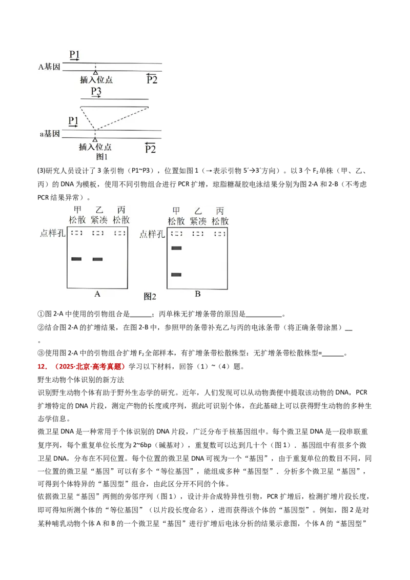 五年（2021-2025）全国高考生物真题分类汇编专题22基因工程（全国通用）（原卷版）_高考真题分类汇编_高考生物真题分类汇编（全国通用）五年（2021-2025）