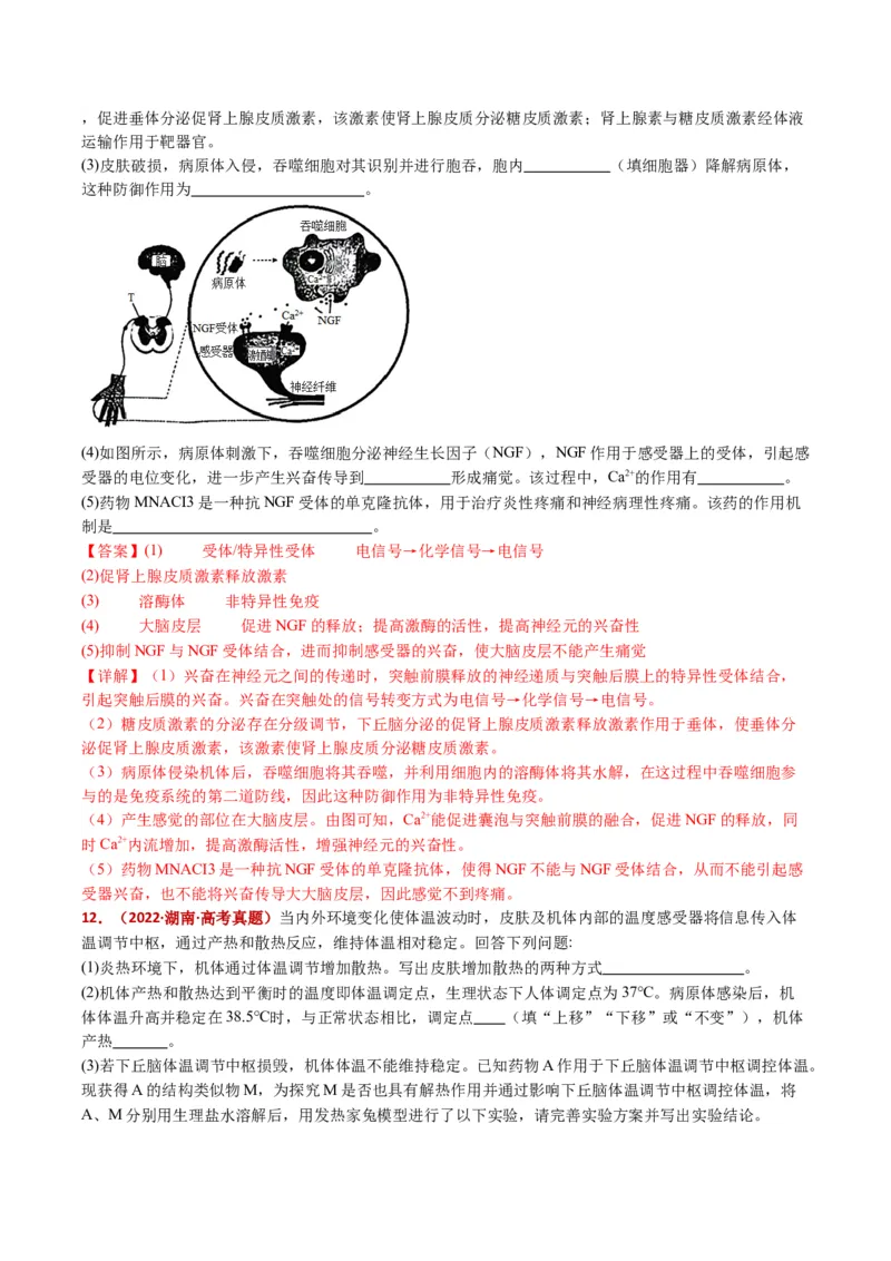五年（2021-2025）全国高考生物真题分类汇编专题15体液调节（全国通用）（解析版）_高考真题分类汇编_高考生物真题分类汇编（全国通用）五年（2021-2025）