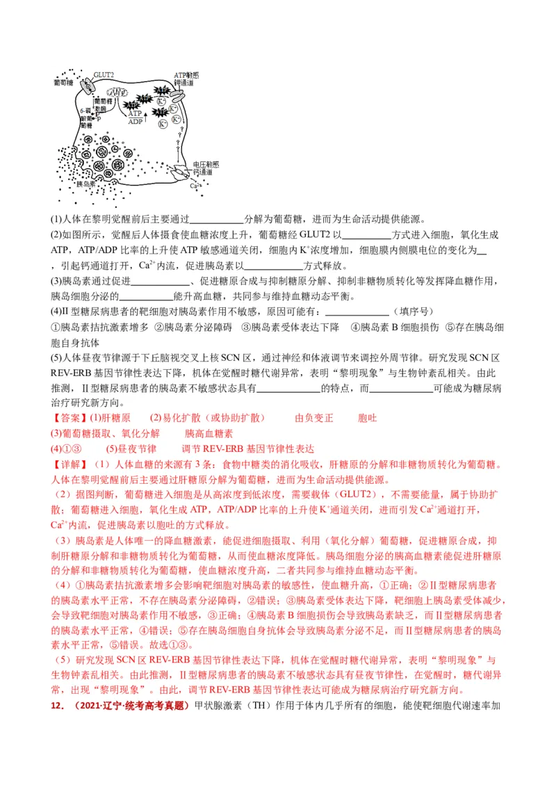 五年（2021-2025）全国高考生物真题分类汇编专题15体液调节（全国通用）（解析版）_高考真题分类汇编_高考生物真题分类汇编（全国通用）五年（2021-2025）