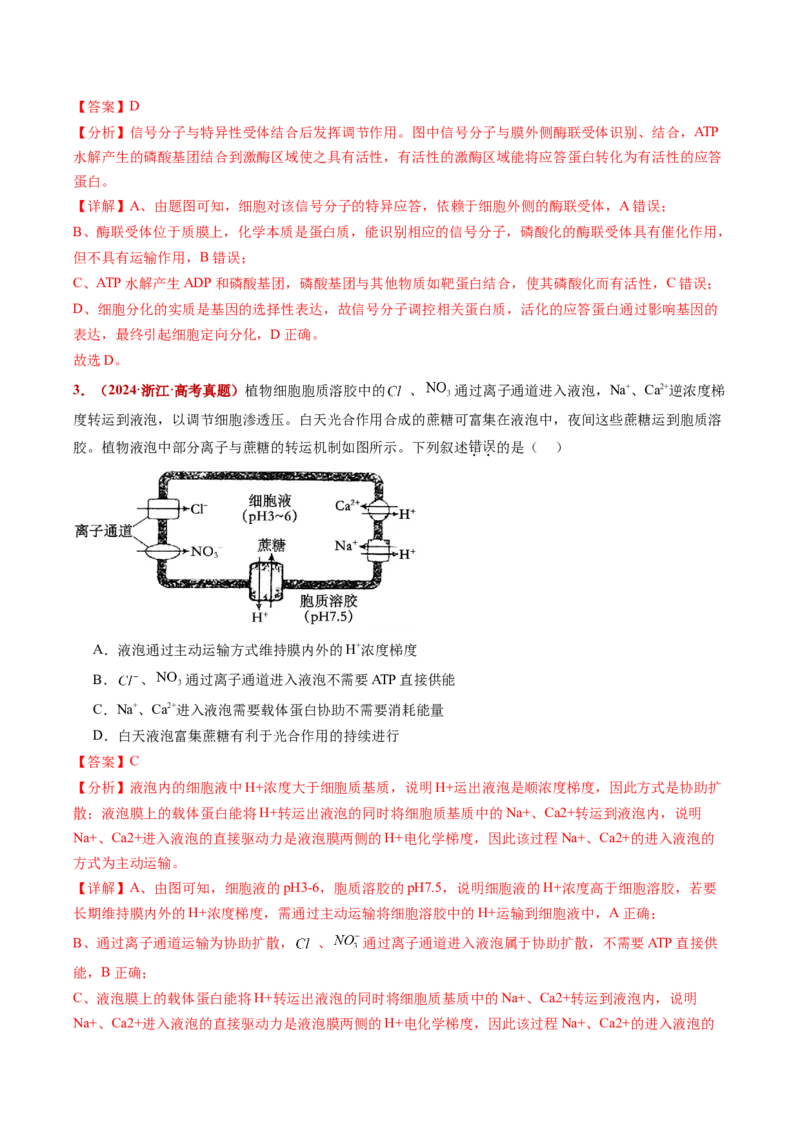 五年（2021-2025）全国高考生物真题分类汇编专题04酶与ATP（全国通用）（解析版）_高考真题分类汇编_高考生物真题分类汇编（全国通用）五年（2021-2025）