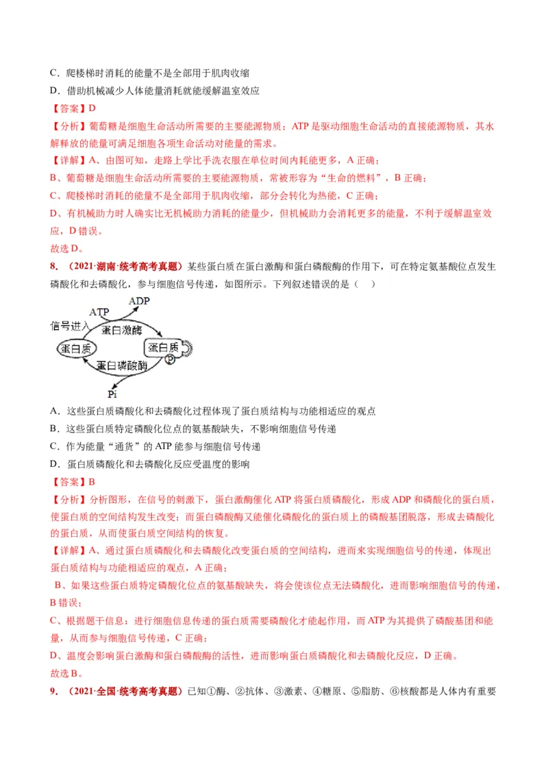 五年（2021-2025）全国高考生物真题分类汇编专题01组成细胞的分子（全国通用）（解析版）_高考真题分类汇编_高考生物真题分类汇编（全国通用）五年（2021-2025）