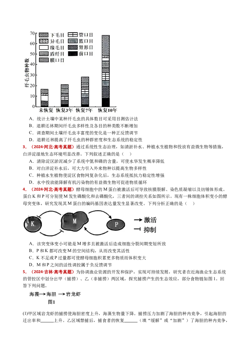 五年（2021-2025）全国高考生物真题分类汇编专题19生态系统（全国通用）（原卷版）_高考真题分类汇编_高考生物真题分类汇编（全国通用）五年（2021-2025）