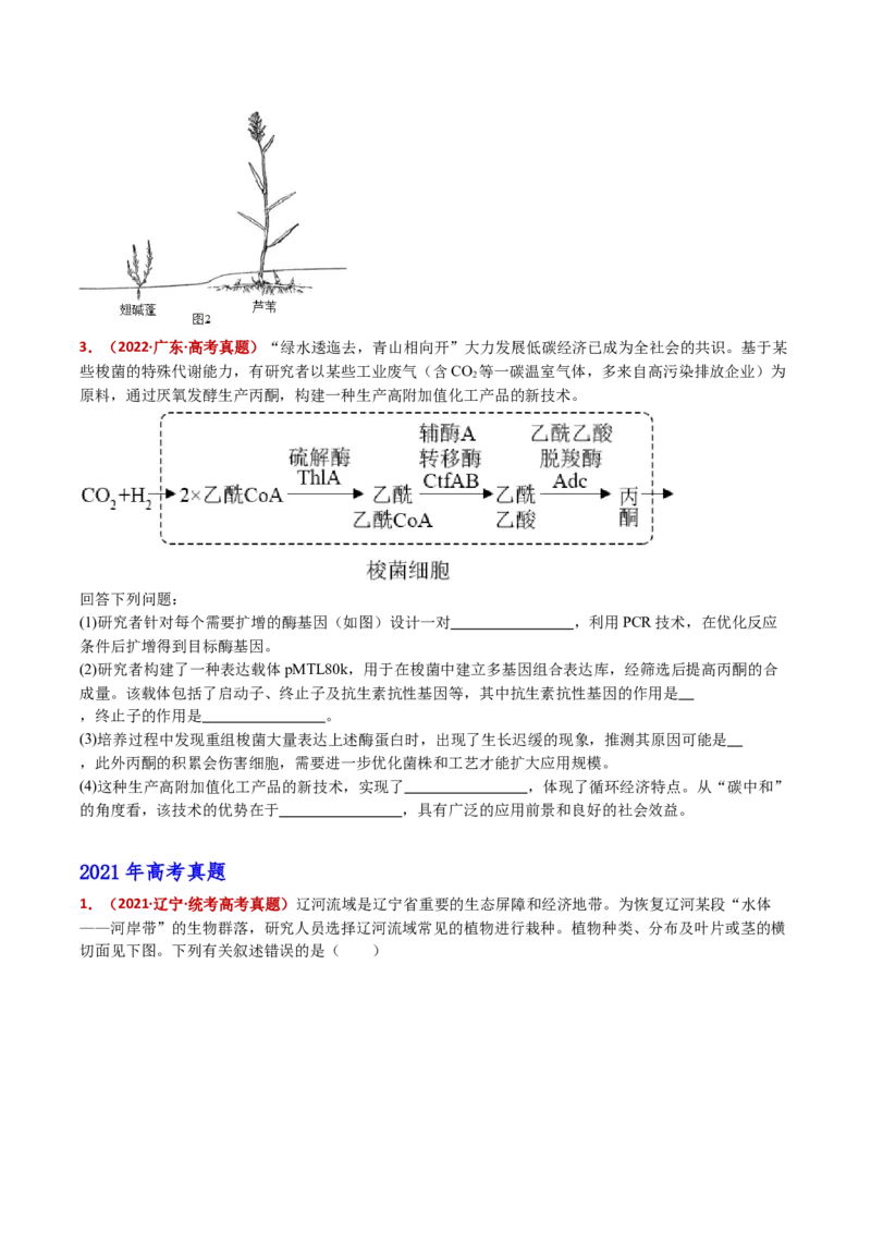 五年（2021-2025）全国高考生物真题分类汇编专题19生态系统（全国通用）（原卷版）_高考真题分类汇编_高考生物真题分类汇编（全国通用）五年（2021-2025）