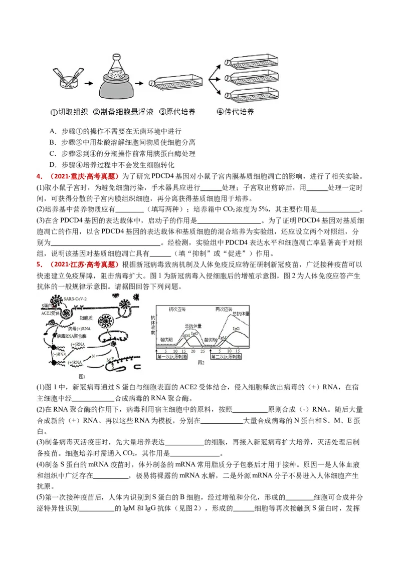 五年（2021-2025）全国高考生物真题分类汇编专题21细胞工程与胚胎工程（全国通用）（原卷版）_高考真题分类汇编_高考生物真题分类汇编（全国通用）五年（2021-2025）