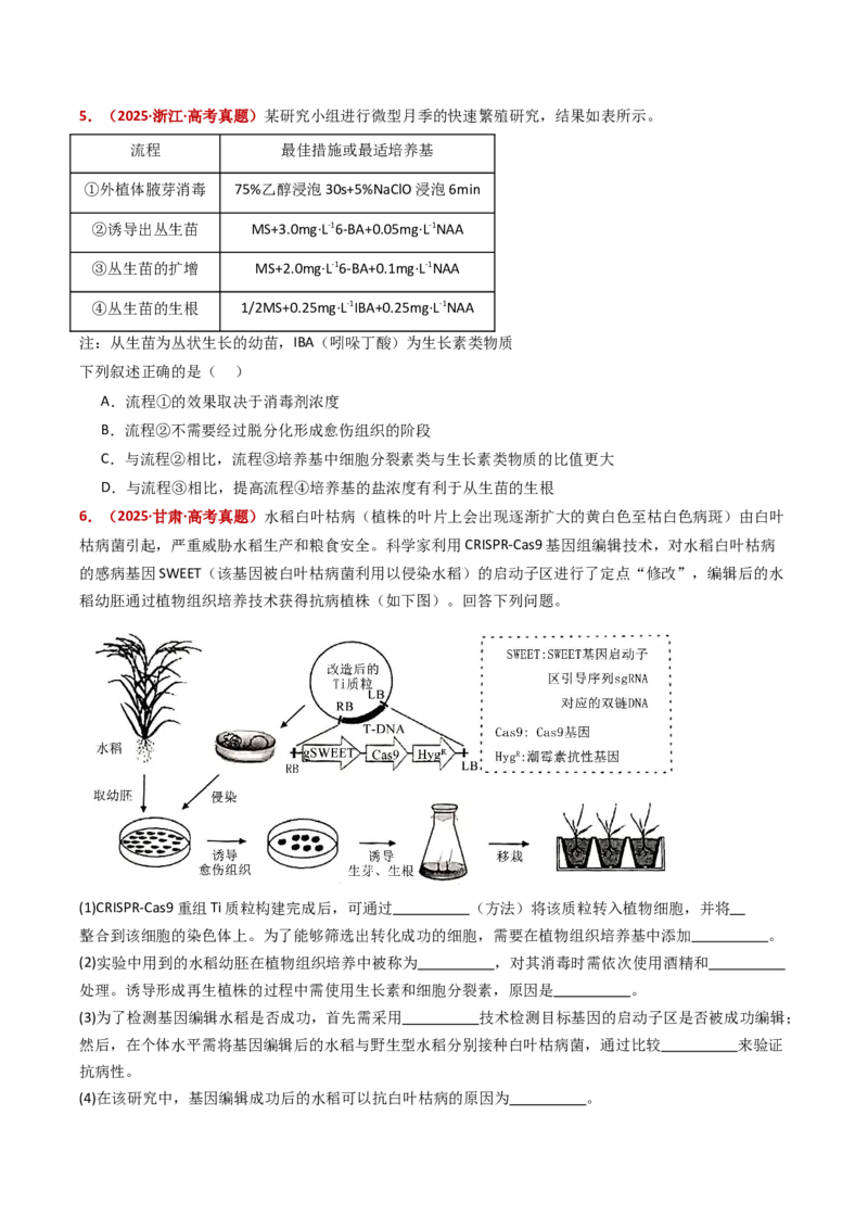 五年（2021-2025）全国高考生物真题分类汇编专题21细胞工程与胚胎工程（全国通用）（原卷版）_高考真题分类汇编_高考生物真题分类汇编（全国通用）五年（2021-2025）