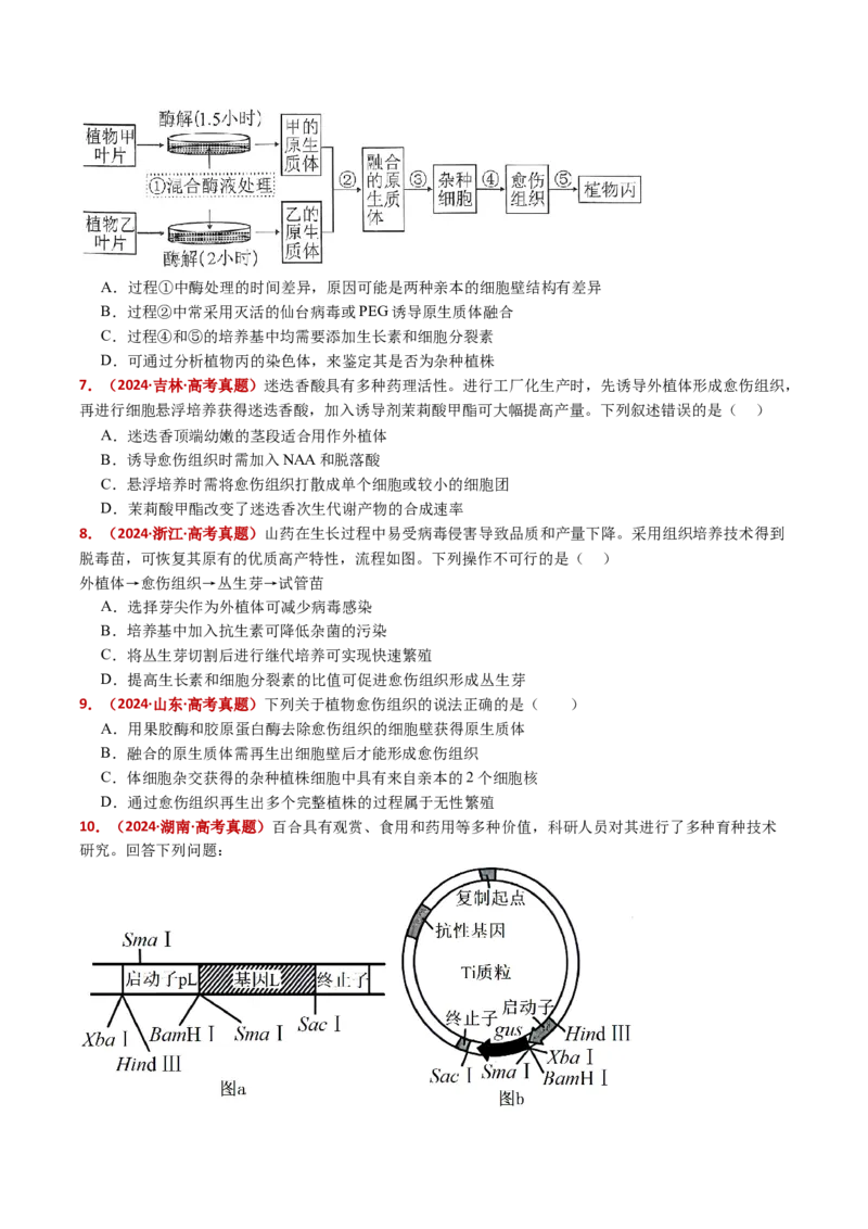 五年（2021-2025）全国高考生物真题分类汇编专题21细胞工程与胚胎工程（全国通用）（原卷版）_高考真题分类汇编_高考生物真题分类汇编（全国通用）五年（2021-2025）