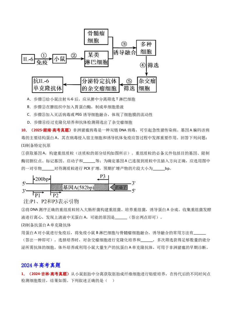 五年（2021-2025）全国高考生物真题分类汇编专题21细胞工程与胚胎工程（全国通用）（原卷版）_高考真题分类汇编_高考生物真题分类汇编（全国通用）五年（2021-2025）