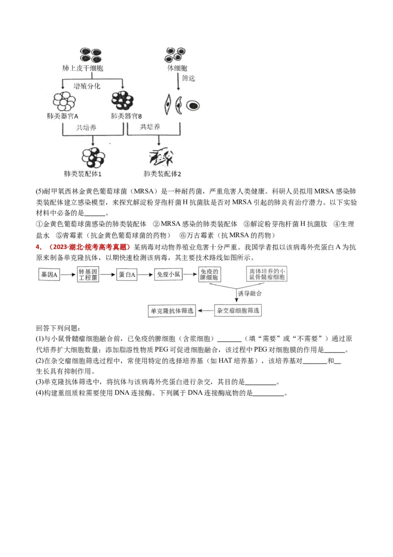 五年（2021-2025）全国高考生物真题分类汇编专题21细胞工程与胚胎工程（全国通用）（原卷版）_高考真题分类汇编_高考生物真题分类汇编（全国通用）五年（2021-2025）