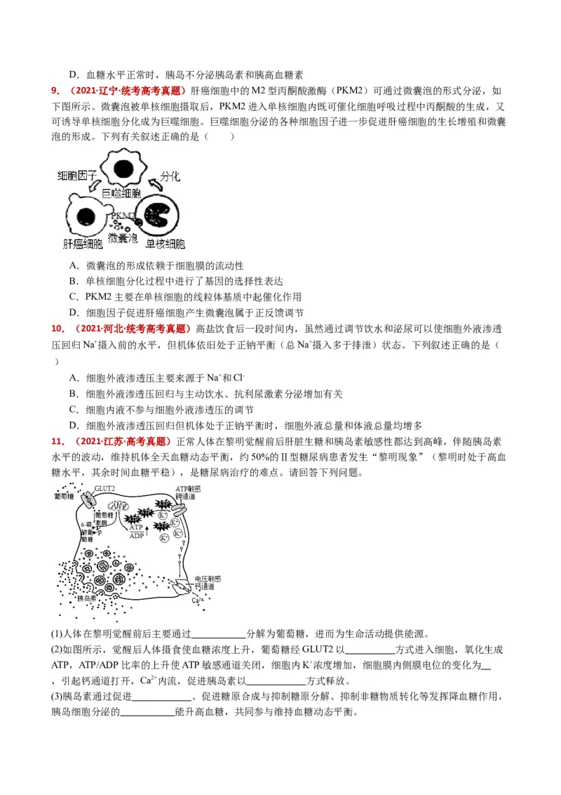 五年（2021-2025）全国高考生物真题分类汇编专题15体液调节（全国通用）（原卷版）_高考真题分类汇编_高考生物真题分类汇编（全国通用）五年（2021-2025）