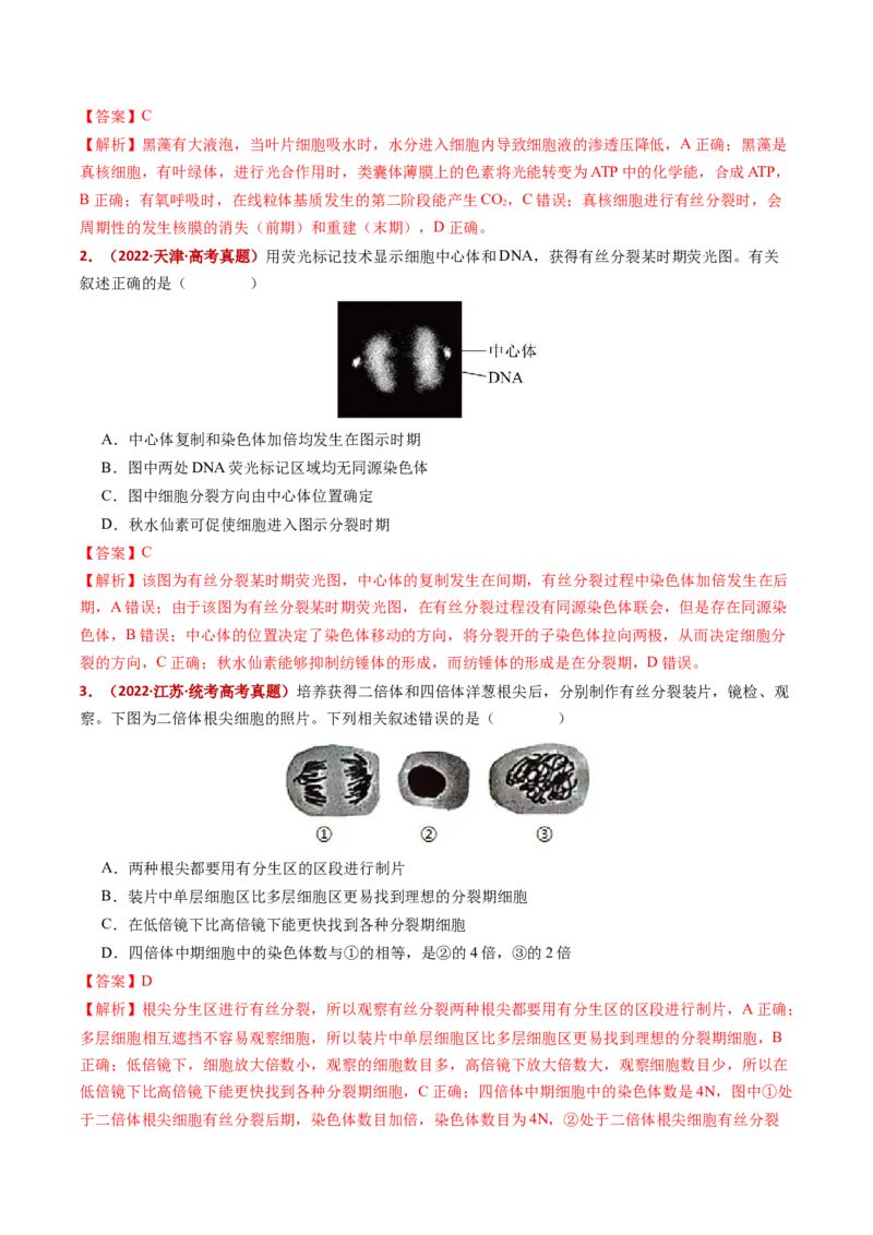 五年（2021-2025）全国高考生物真题分类汇编专题06有丝分裂和减数分裂（全国通用）（解析版）_高考真题分类汇编_高考生物真题分类汇编（全国通用）五年（2021-2025）