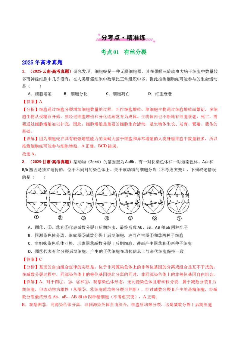 五年（2021-2025）全国高考生物真题分类汇编专题06有丝分裂和减数分裂（全国通用）（解析版）_高考真题分类汇编_高考生物真题分类汇编（全国通用）五年（2021-2025）