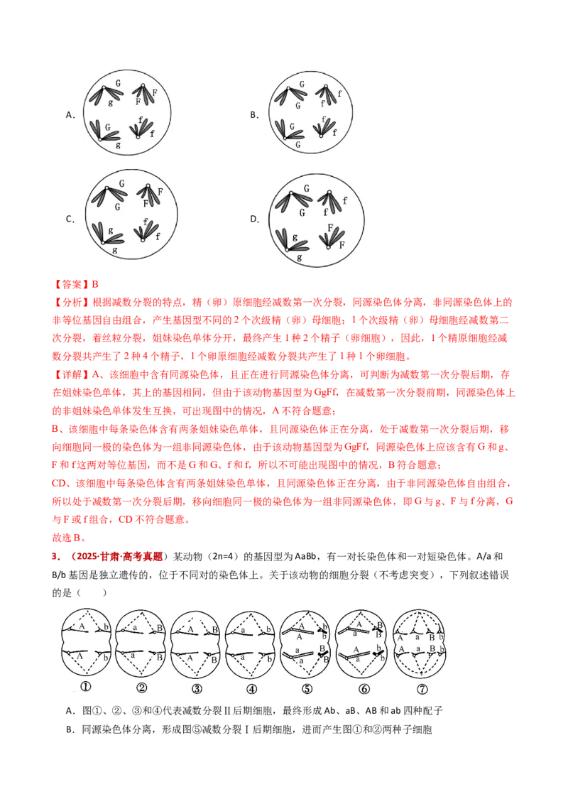 五年（2021-2025）全国高考生物真题分类汇编专题06有丝分裂和减数分裂（全国通用）（解析版）_高考真题分类汇编_高考生物真题分类汇编（全国通用）五年（2021-2025）