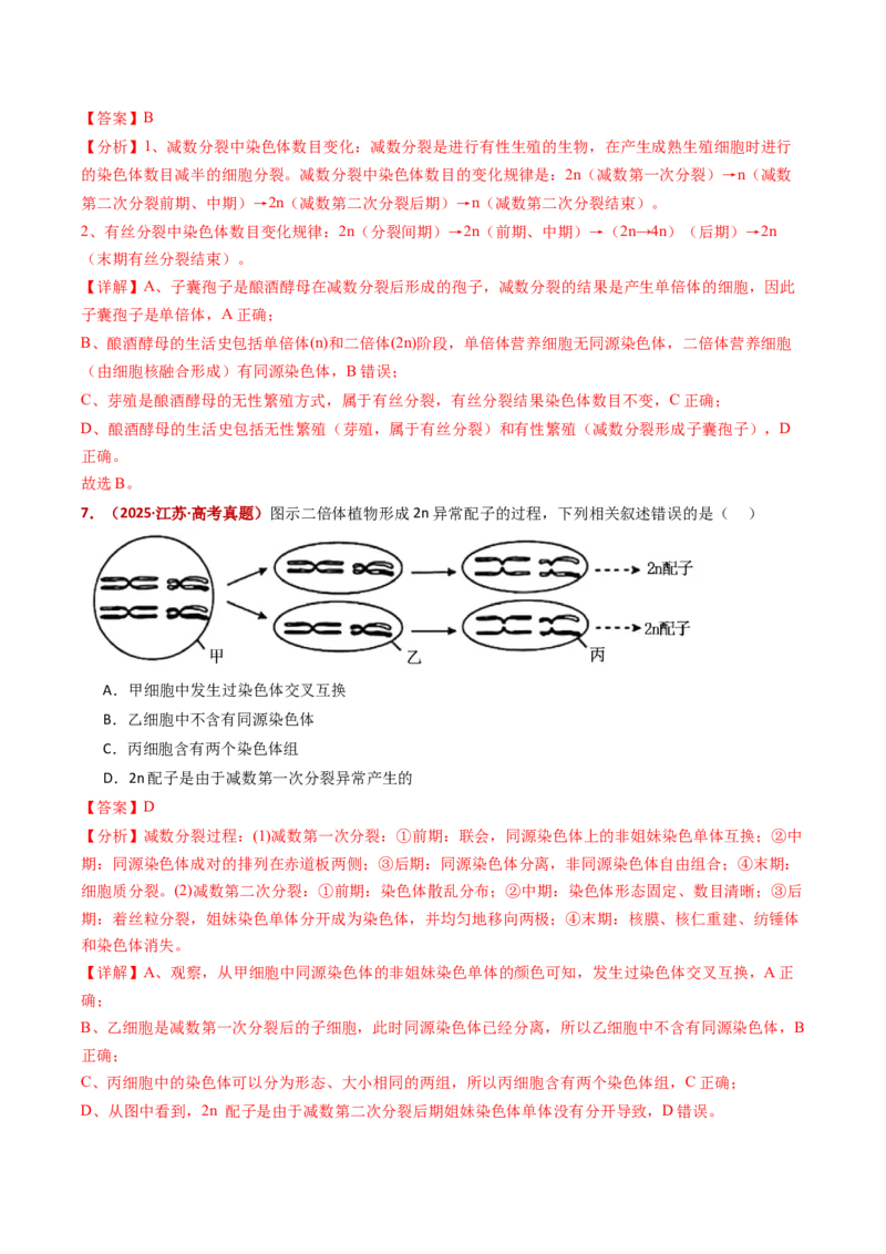 五年（2021-2025）全国高考生物真题分类汇编专题06有丝分裂和减数分裂（全国通用）（解析版）_高考真题分类汇编_高考生物真题分类汇编（全国通用）五年（2021-2025）