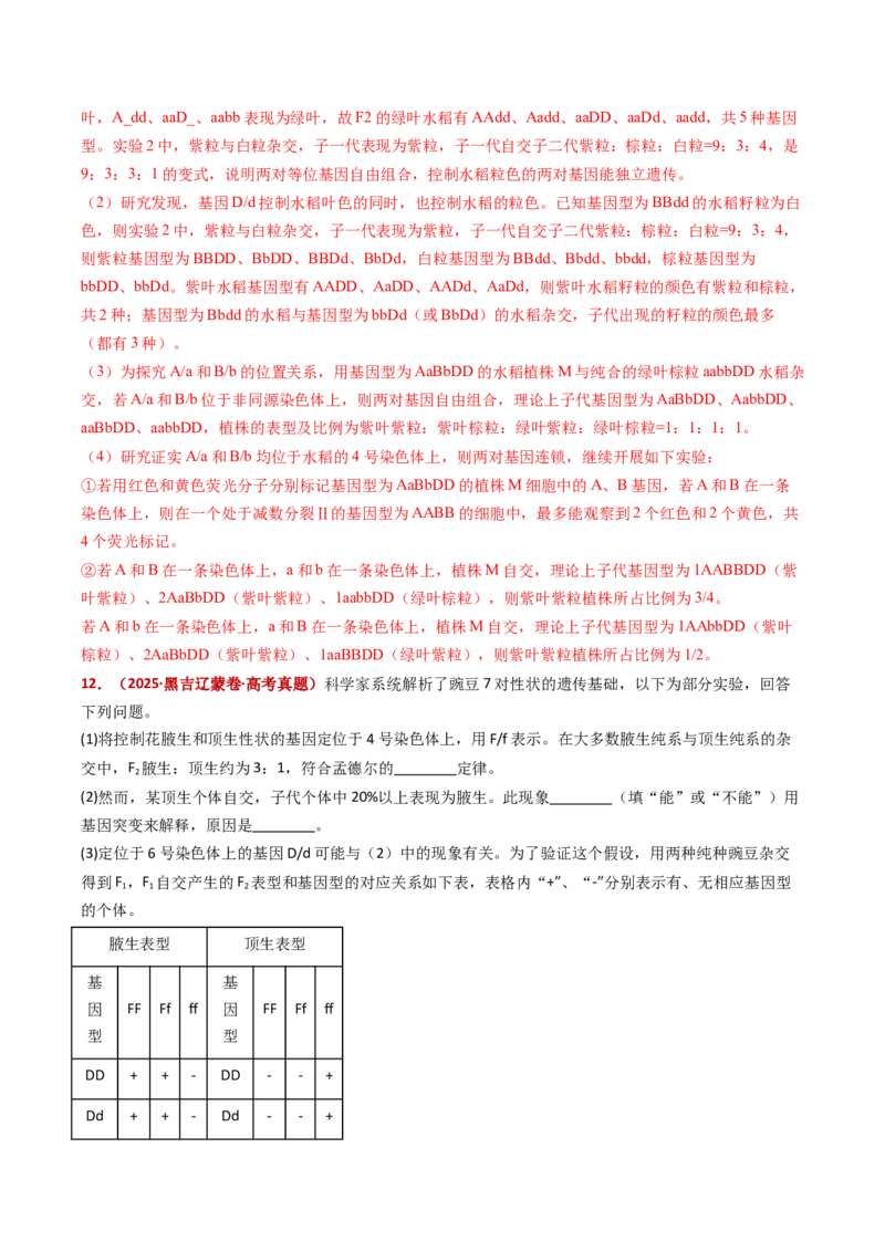 五年（2021-2025）全国高考生物真题分类汇编专题06有丝分裂和减数分裂（全国通用）（解析版）_高考真题分类汇编_高考生物真题分类汇编（全国通用）五年（2021-2025）