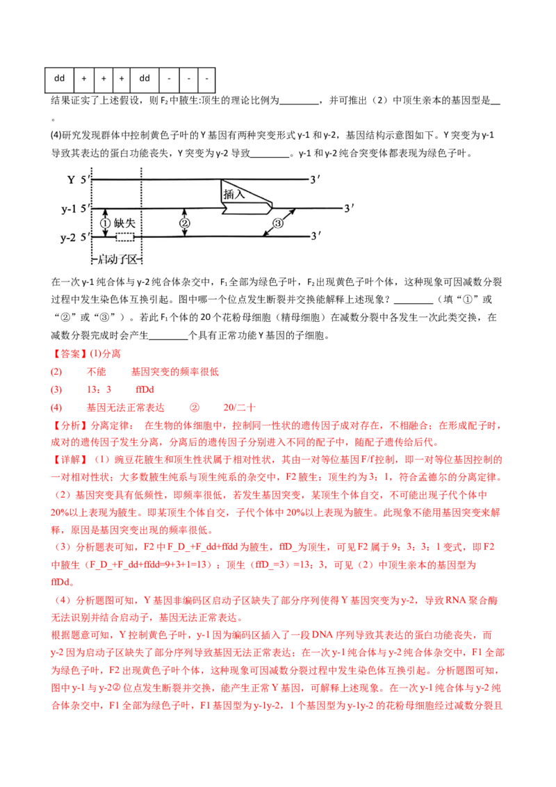 五年（2021-2025）全国高考生物真题分类汇编专题06有丝分裂和减数分裂（全国通用）（解析版）_高考真题分类汇编_高考生物真题分类汇编（全国通用）五年（2021-2025）