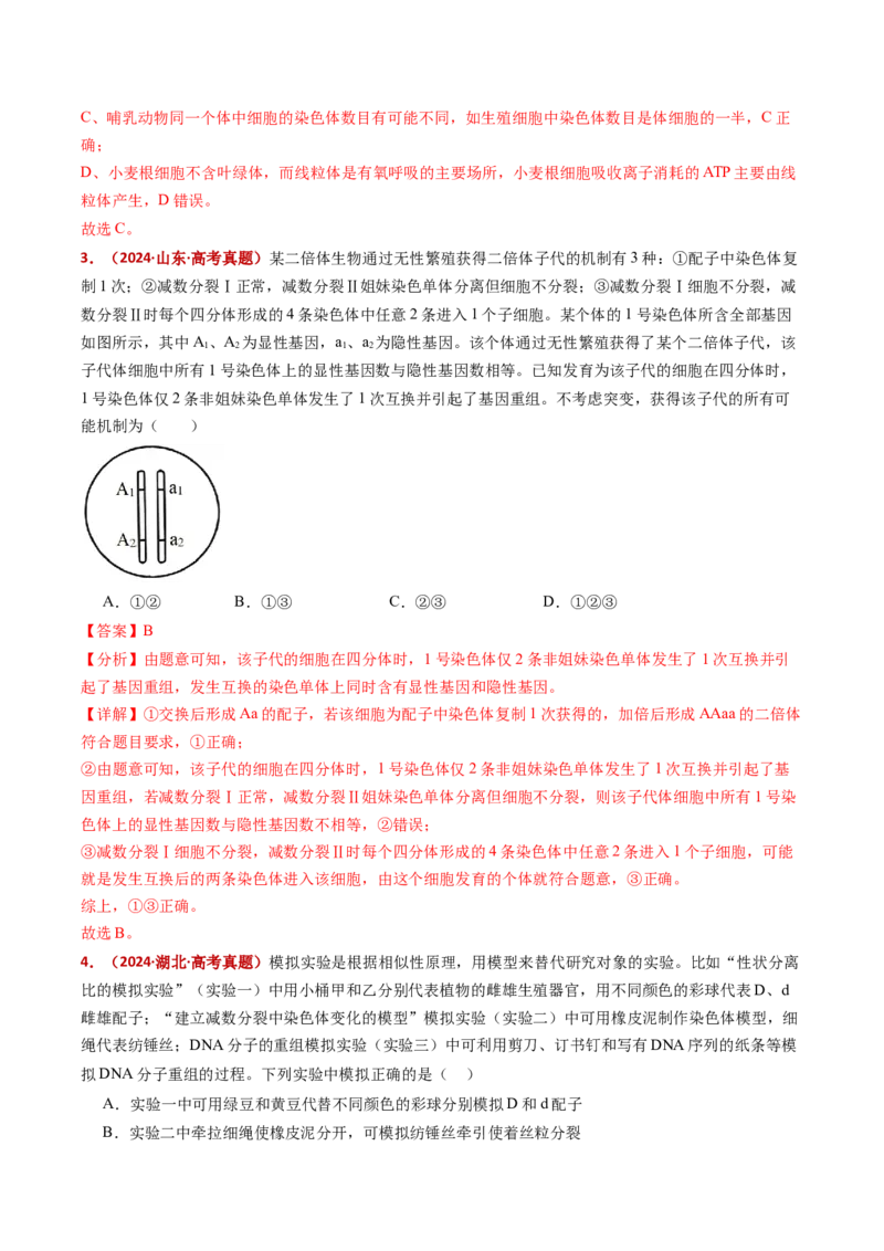 五年（2021-2025）全国高考生物真题分类汇编专题06有丝分裂和减数分裂（全国通用）（解析版）_高考真题分类汇编_高考生物真题分类汇编（全国通用）五年（2021-2025）