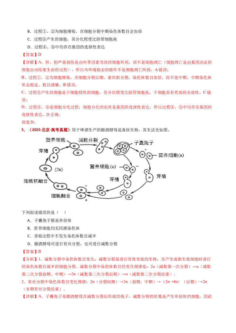 五年（2021-2025）全国高考生物真题分类汇编专题06有丝分裂和减数分裂（全国通用）（解析版）_高考真题分类汇编_高考生物真题分类汇编（全国通用）五年（2021-2025）