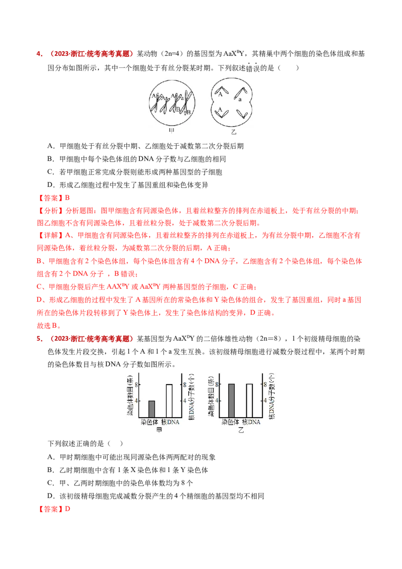 五年（2021-2025）全国高考生物真题分类汇编专题06有丝分裂和减数分裂（全国通用）（解析版）_高考真题分类汇编_高考生物真题分类汇编（全国通用）五年（2021-2025）