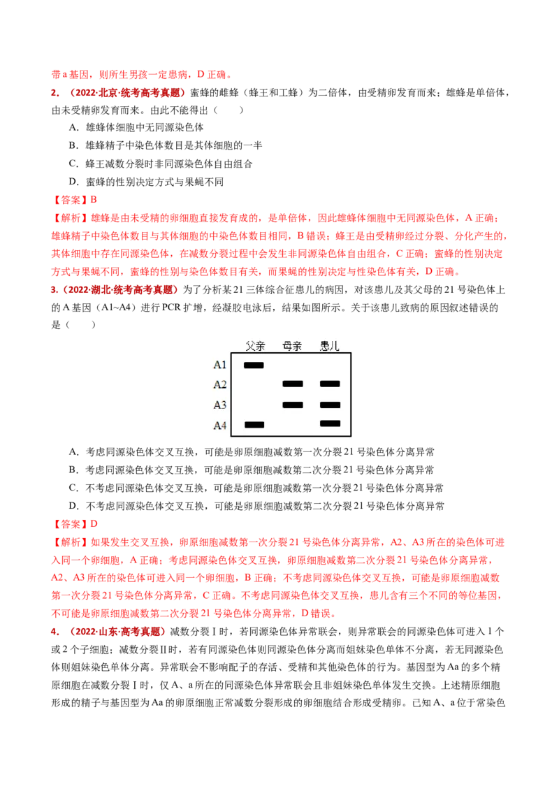 五年（2021-2025）全国高考生物真题分类汇编专题06有丝分裂和减数分裂（全国通用）（解析版）_高考真题分类汇编_高考生物真题分类汇编（全国通用）五年（2021-2025）