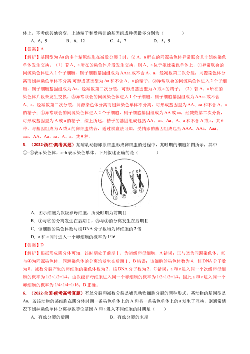 五年（2021-2025）全国高考生物真题分类汇编专题06有丝分裂和减数分裂（全国通用）（解析版）_高考真题分类汇编_高考生物真题分类汇编（全国通用）五年（2021-2025）
