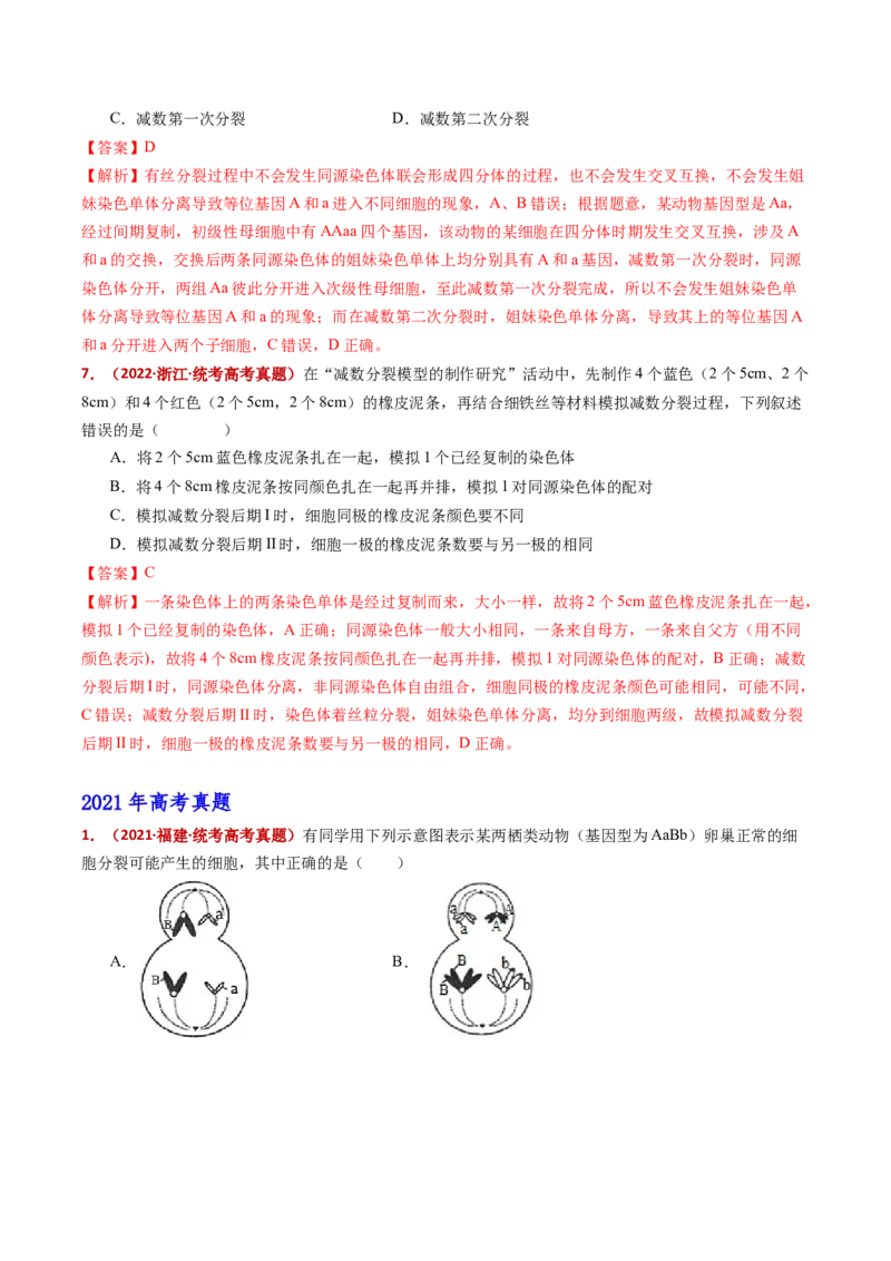 五年（2021-2025）全国高考生物真题分类汇编专题06有丝分裂和减数分裂（全国通用）（解析版）_高考真题分类汇编_高考生物真题分类汇编（全国通用）五年（2021-2025）