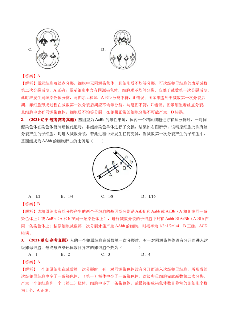 五年（2021-2025）全国高考生物真题分类汇编专题06有丝分裂和减数分裂（全国通用）（解析版）_高考真题分类汇编_高考生物真题分类汇编（全国通用）五年（2021-2025）