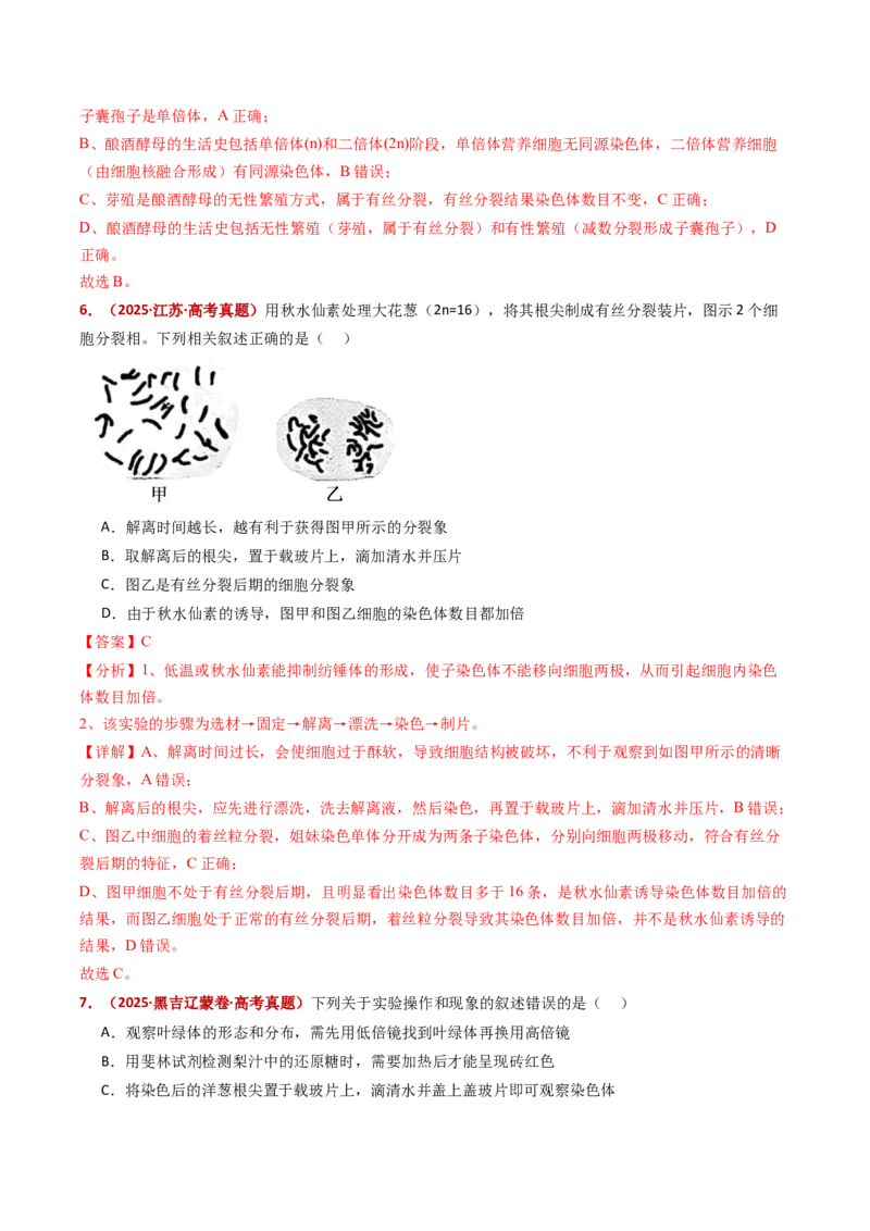 五年（2021-2025）全国高考生物真题分类汇编专题06有丝分裂和减数分裂（全国通用）（解析版）_高考真题分类汇编_高考生物真题分类汇编（全国通用）五年（2021-2025）