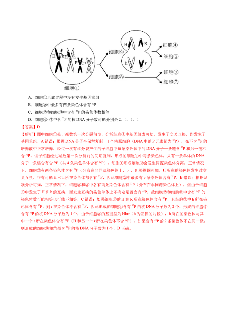 五年（2021-2025）全国高考生物真题分类汇编专题06有丝分裂和减数分裂（全国通用）（解析版）_高考真题分类汇编_高考生物真题分类汇编（全国通用）五年（2021-2025）