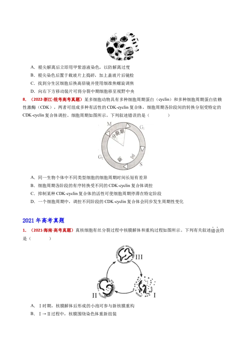 五年（2021-2025）全国高考生物真题分类汇编专题06有丝分裂和减数分裂（全国通用）（原卷版）_高考真题分类汇编_高考生物真题分类汇编（全国通用）五年（2021-2025）