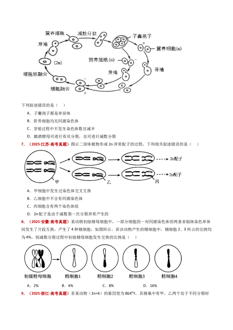 五年（2021-2025）全国高考生物真题分类汇编专题06有丝分裂和减数分裂（全国通用）（原卷版）_高考真题分类汇编_高考生物真题分类汇编（全国通用）五年（2021-2025）